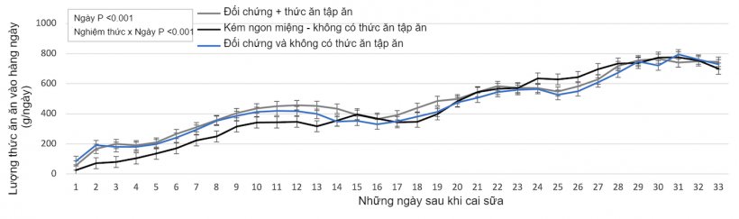 Hình 1. Lượng thức ăn ăn vào hàng ngày theo từng nhóm.